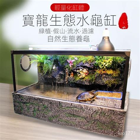 烏龜的家|【烏龜缸diy】最全烏龜缸布置、造景、換水總整理，。